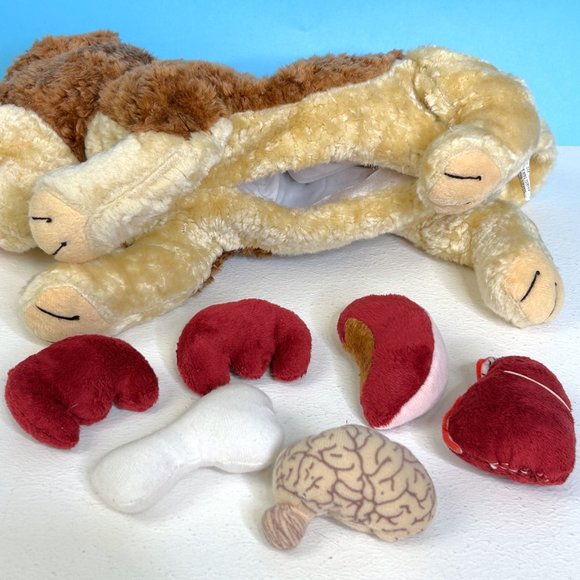 SUPER RARE VINTAGE Animal Fair Basset Hound Dog Removable Internal Organs Plush - Picture 5 of 7